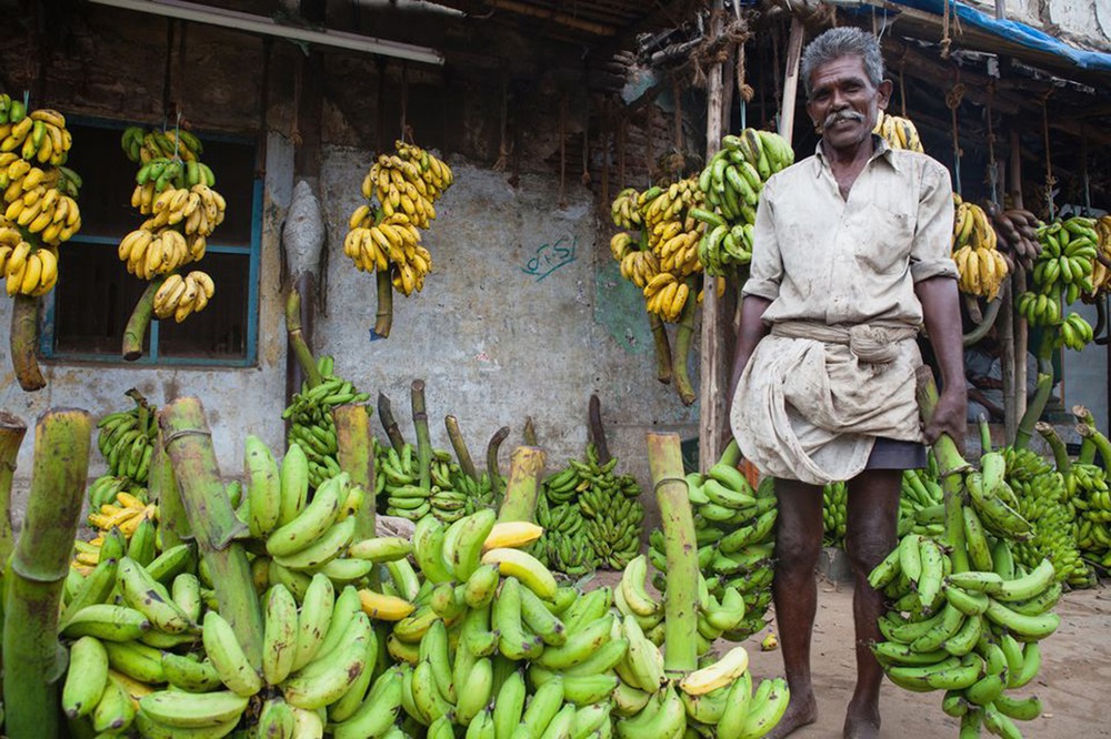 Mejores Viajes a Tamil Nadu Y Kerala