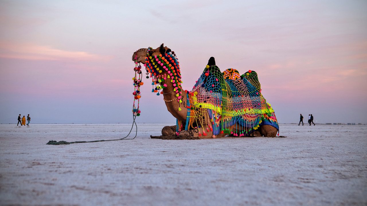 Maravilloso Gujarat con La Estatua De La Unidad