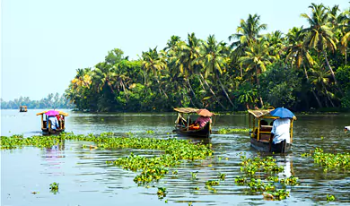 Kerala Honeymoon Tour Package