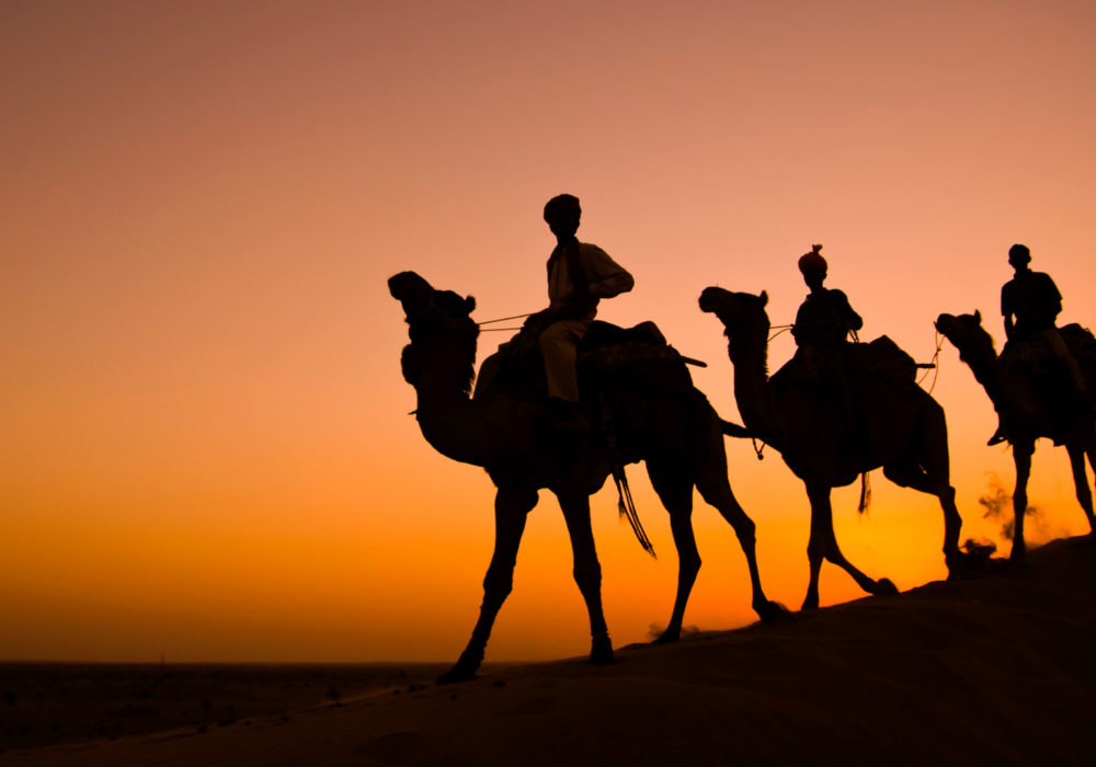 Camel Safari Tours in India