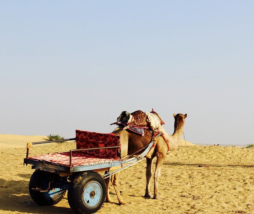 Must know about Jaisalmer Travel Guide